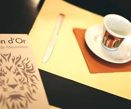 Hotel Brasserie Le Lion D'Or
